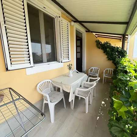 Lovely Ana * Sucuraj